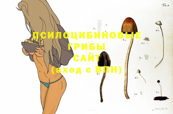 герыч Надым
