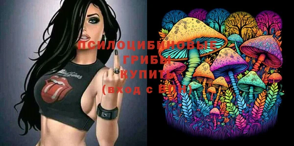 герыч Надым