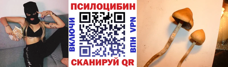 kraken зеркало Энем Галлюциногенные грибы GOLDEN TEACHER