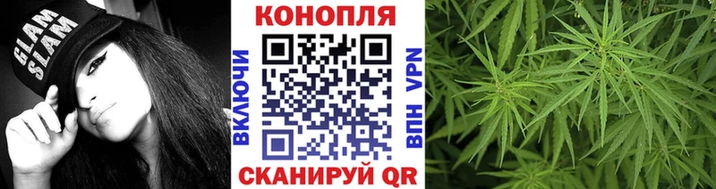Канабис конопля  Энем 